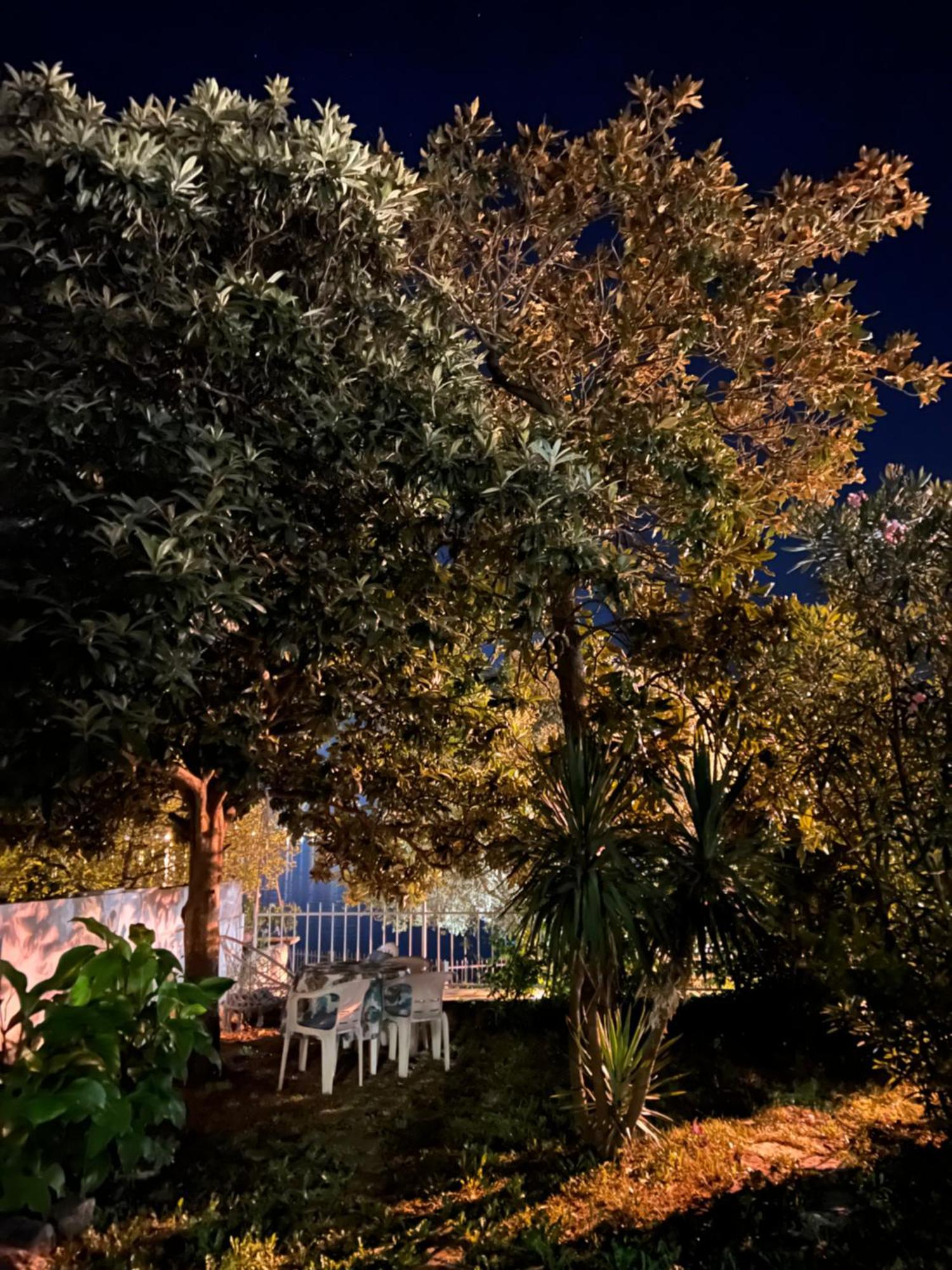 Lemon Tree Villa โกตอร์ ภายนอก รูปภาพ