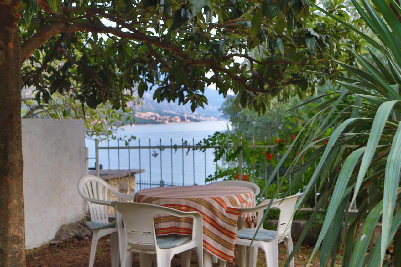 Lemon Tree Villa โกตอร์ ภายนอก รูปภาพ